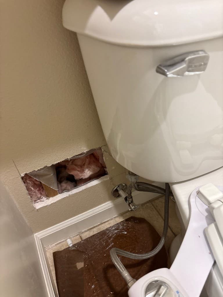 Open wall access with plumbing visible after access cut during repipe project